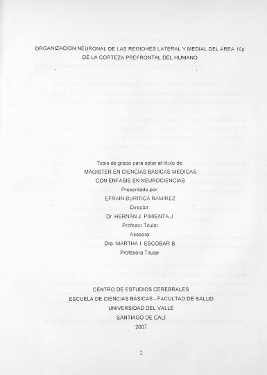 Organización neuronal de las regiones lateral y medial del área 10p de la corteza prefrontal del humano